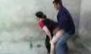 iplagi yaseuzbek evu ...